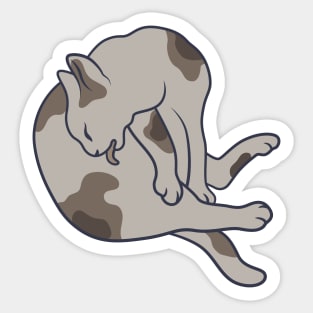 Keep it clean – this is all the cat mean (pose 3) Sticker